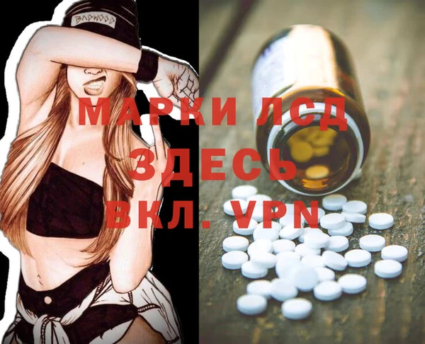 эйфоретик Надым