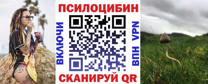 Галлюциногенные грибы Magic Shrooms  Щигры 